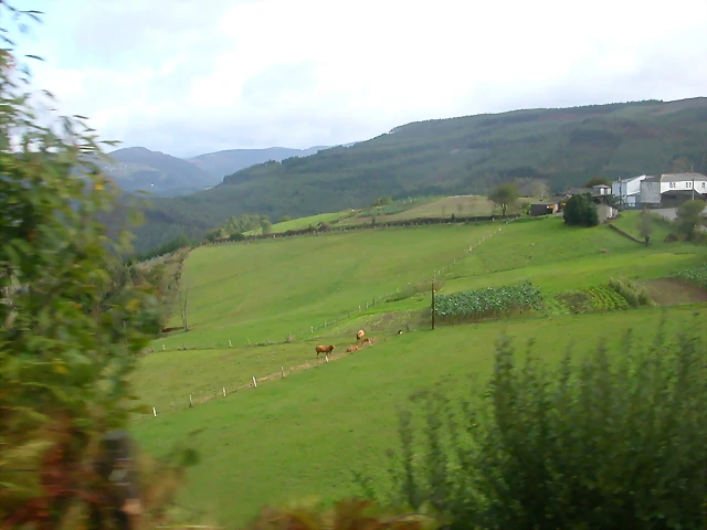 DSCN1578 DSCN1578