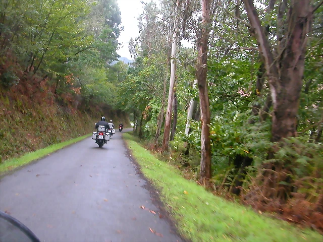 DSCN1551 DSCN1551
