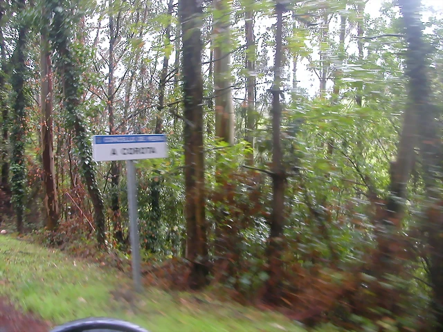 DSCN1548 DSCN1548