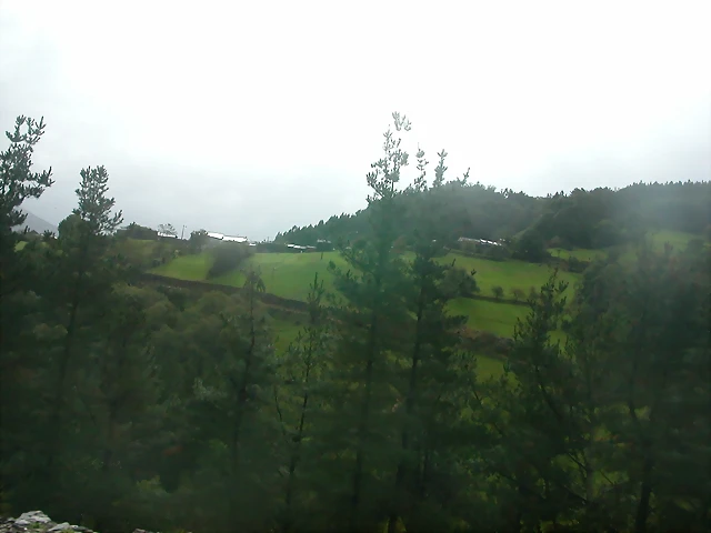 DSCN1549 DSCN1549