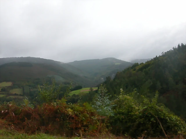 DSCN1554 DSCN1554