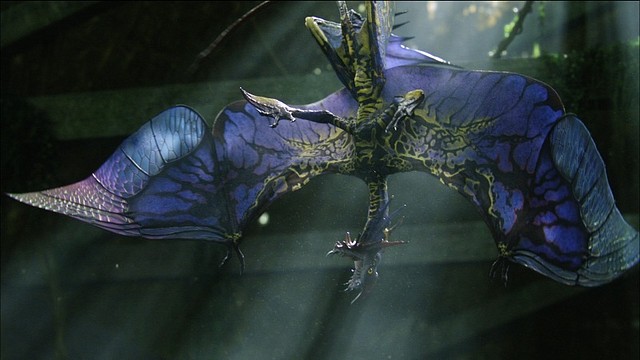800px-Stingbat 800px-Stingbat