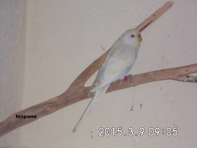 CIMG0854 CIMG0854