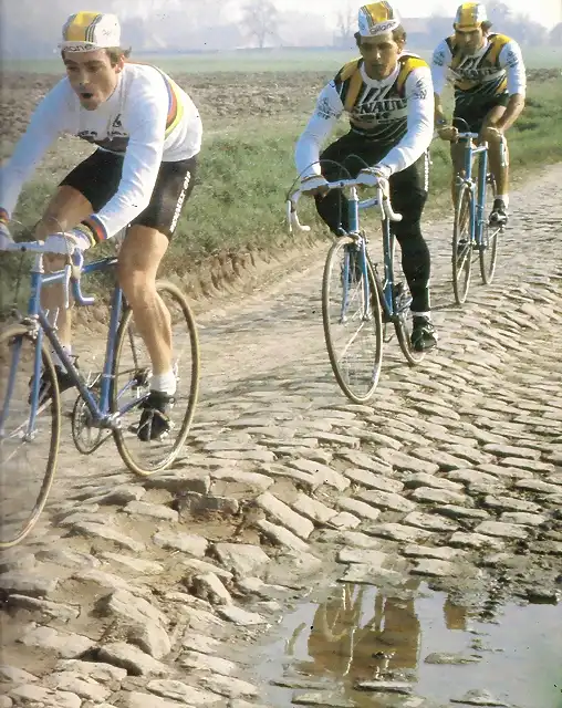 1981-ROUBAIX-HINAULT-IVON BERTIN-BERNARD QUILFEN.