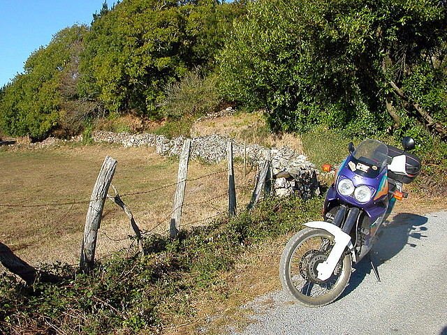 DSCN7930 DSCN7930