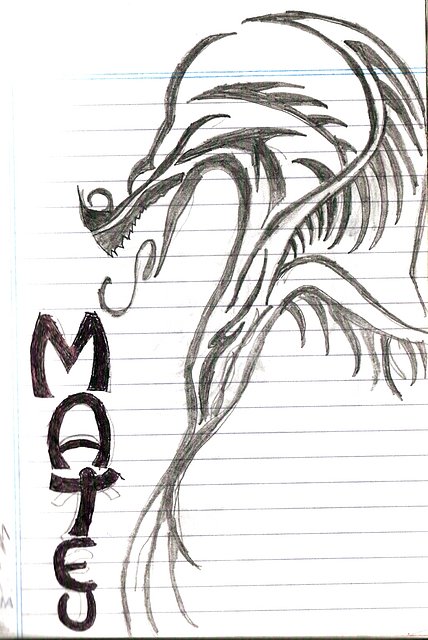 4 4