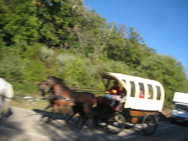 IMG_1320 IMG_1320