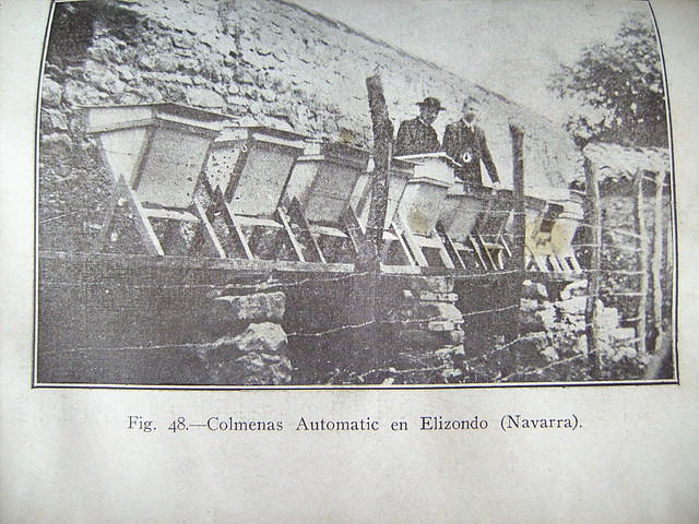 Colmenas Automatic 001