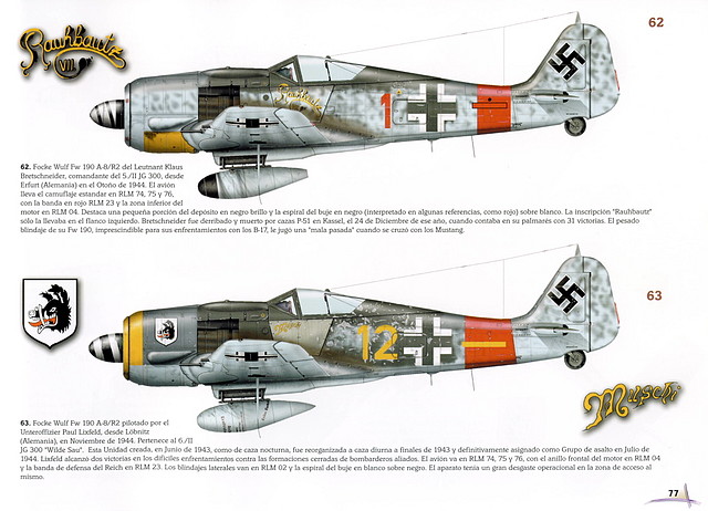 FW 190 MUSCHI