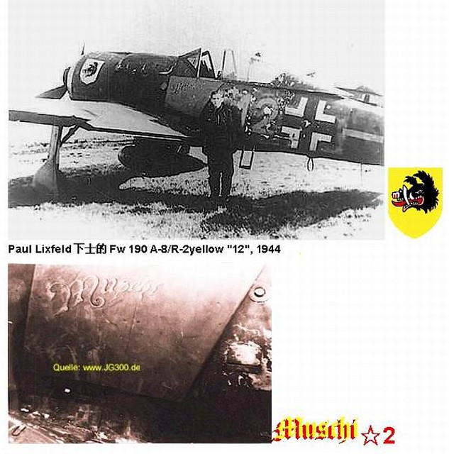 Paul Lixfeld FW 190A-8. R2 YELLOW .12. 1944