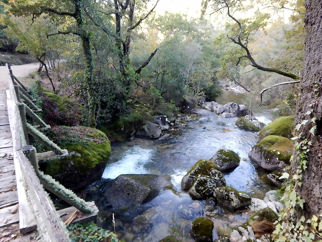 DSCN1666 DSCN1666