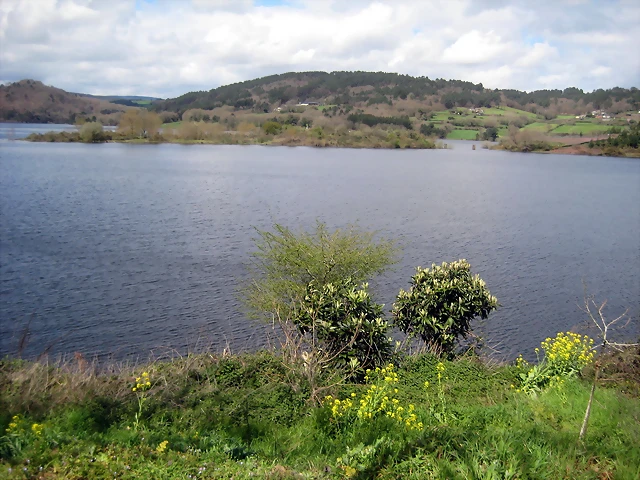 IMG_2430 IMG_2430