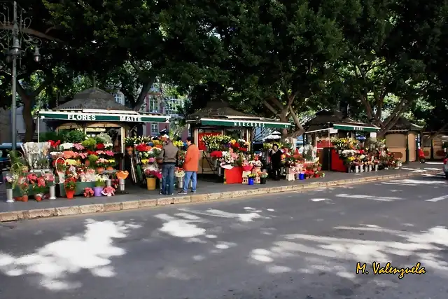 009, flores en la alameda, marca