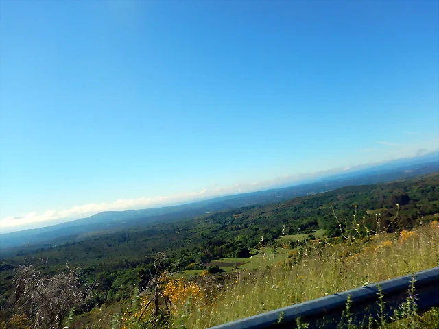 DSCN2074 DSCN2074
