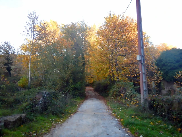 DSCN8993 DSCN8993