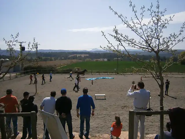 Sant Fruitos de Bages 2015-04-12 (43)