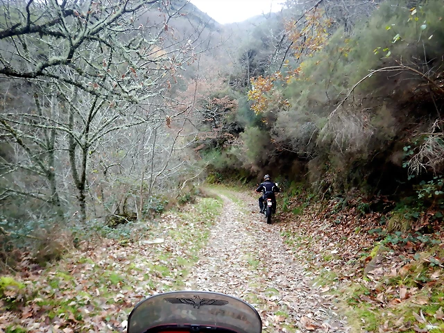 DSCN2082 DSCN2082