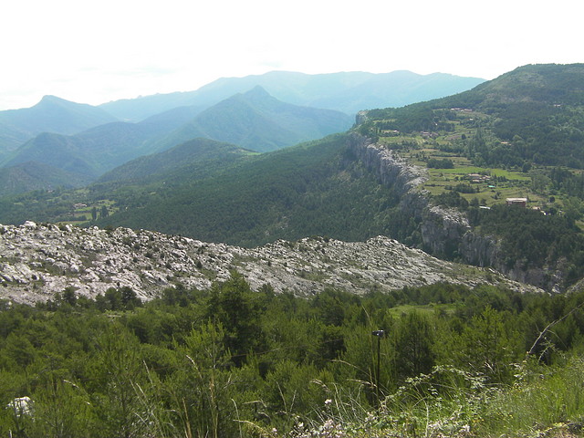 SANY0768 SANY0768