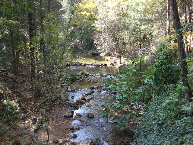 DSCF2075 DSCF2075