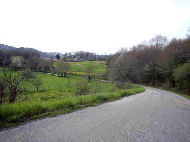 DSCN3486 DSCN3486