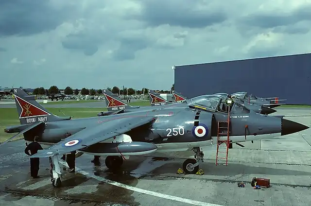 British_Aerospace_Sea_Harrier_FRS1,_UK_-_Navy_AN0769319