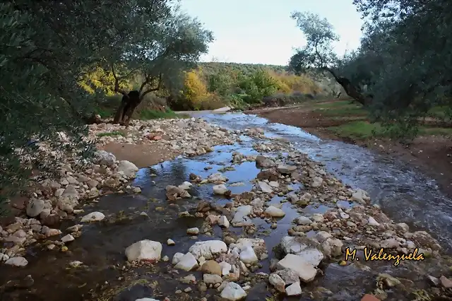 005, arroyo, marca