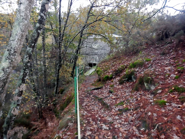 DSCN1822 DSCN1822
