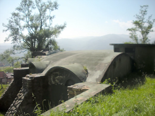 DSCN3745 DSCN3745