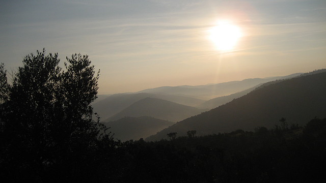 DESDE LA CARNICERA      FEB.2011 (2)