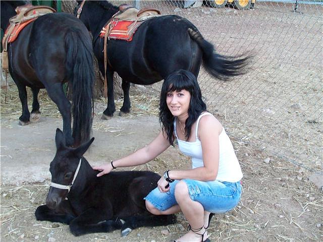 _luna_ _luna_