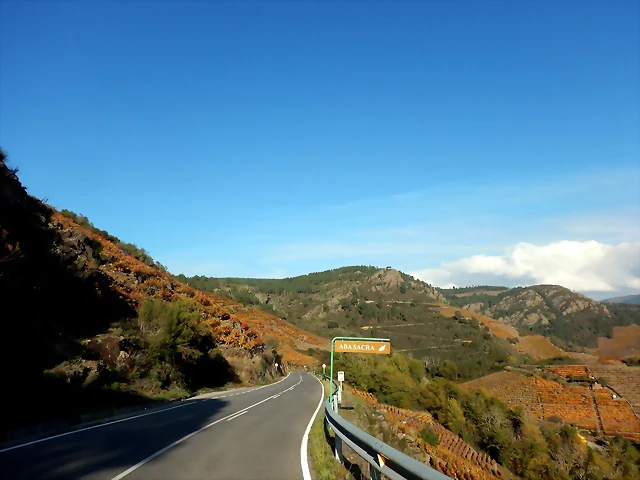DSCN1666 DSCN1666