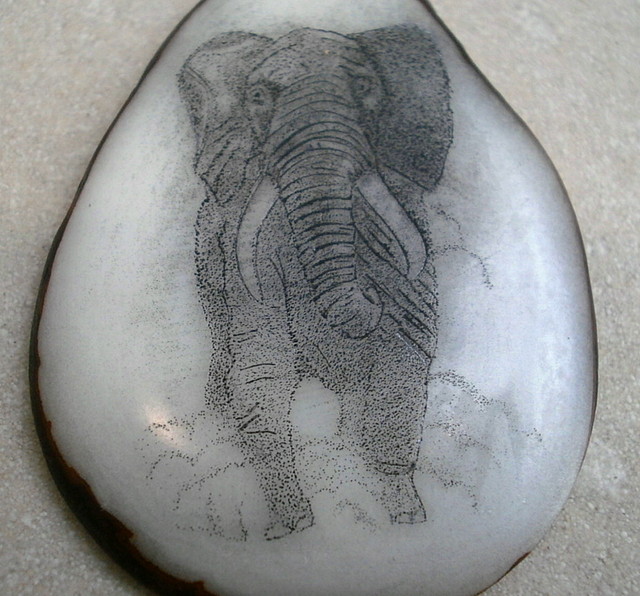 elefante tagua