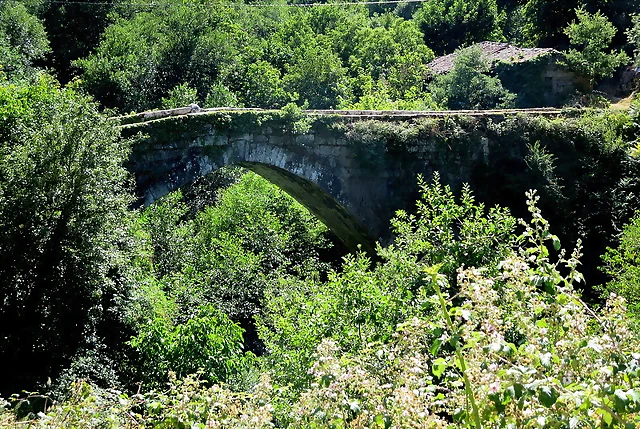 IMG_7540 IMG_7540