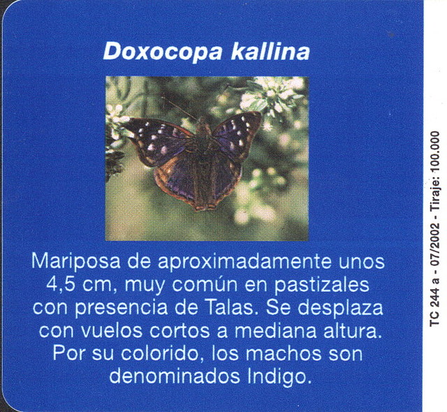 MARIPOSA002