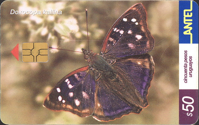 MARIPOSA02