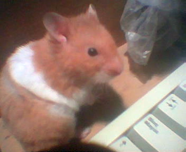 Doris Doris