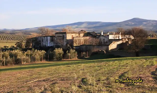 11, olvera al sol, marca