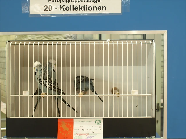 20.Europagruppensieger-Kollektionen 20.Europagruppensieger-Kollektionen