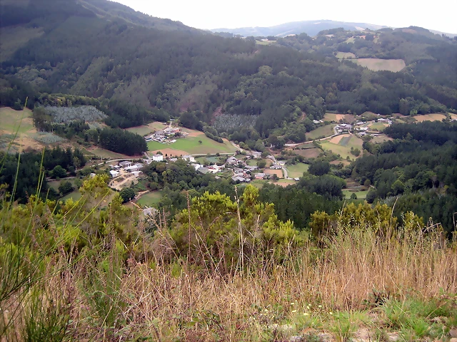 IMG_0509 IMG_0509