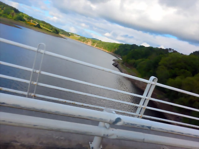 DSCN5269 DSCN5269