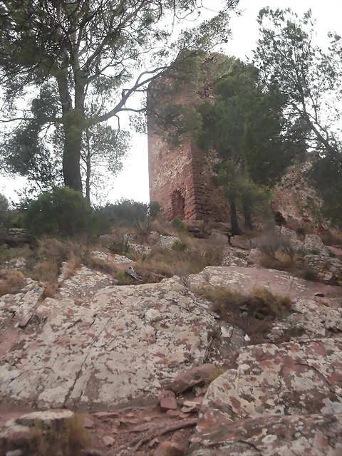 Castillo Serra 031 Castillo Serra 031