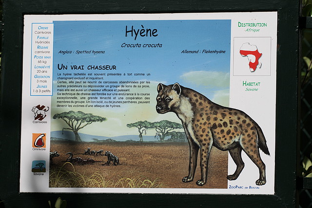 Beauval agost 2010 1113