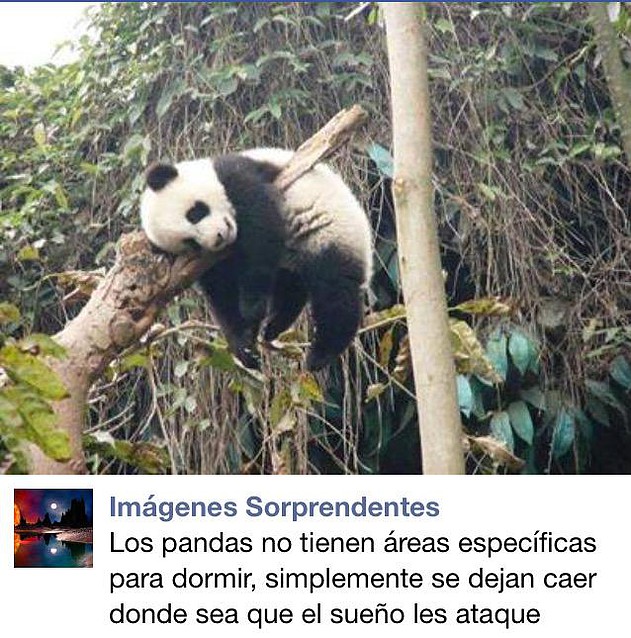 Hugo twitter 27-3-2015 Hugo twitter 27-3-2015