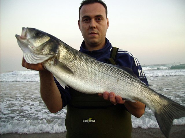 ramon y su lubina ramon y su lubina