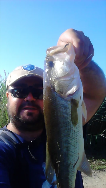 IMG-20140724-WA0006 IMG-20140724-WA0006
