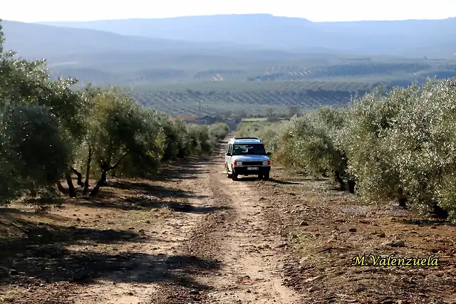 27, correcaminos, marca