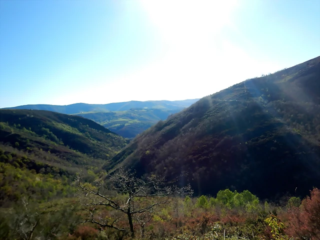 DSCN0140 DSCN0140
