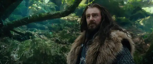 HobbitAUJ-370