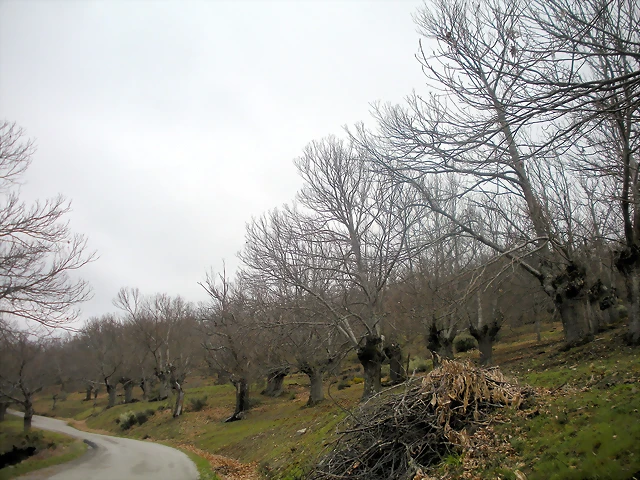 DSCN3878 DSCN3878