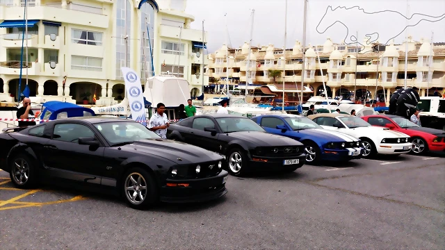DSC_1381 DSC_1381